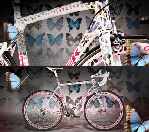 The butterfly best sale trek madone