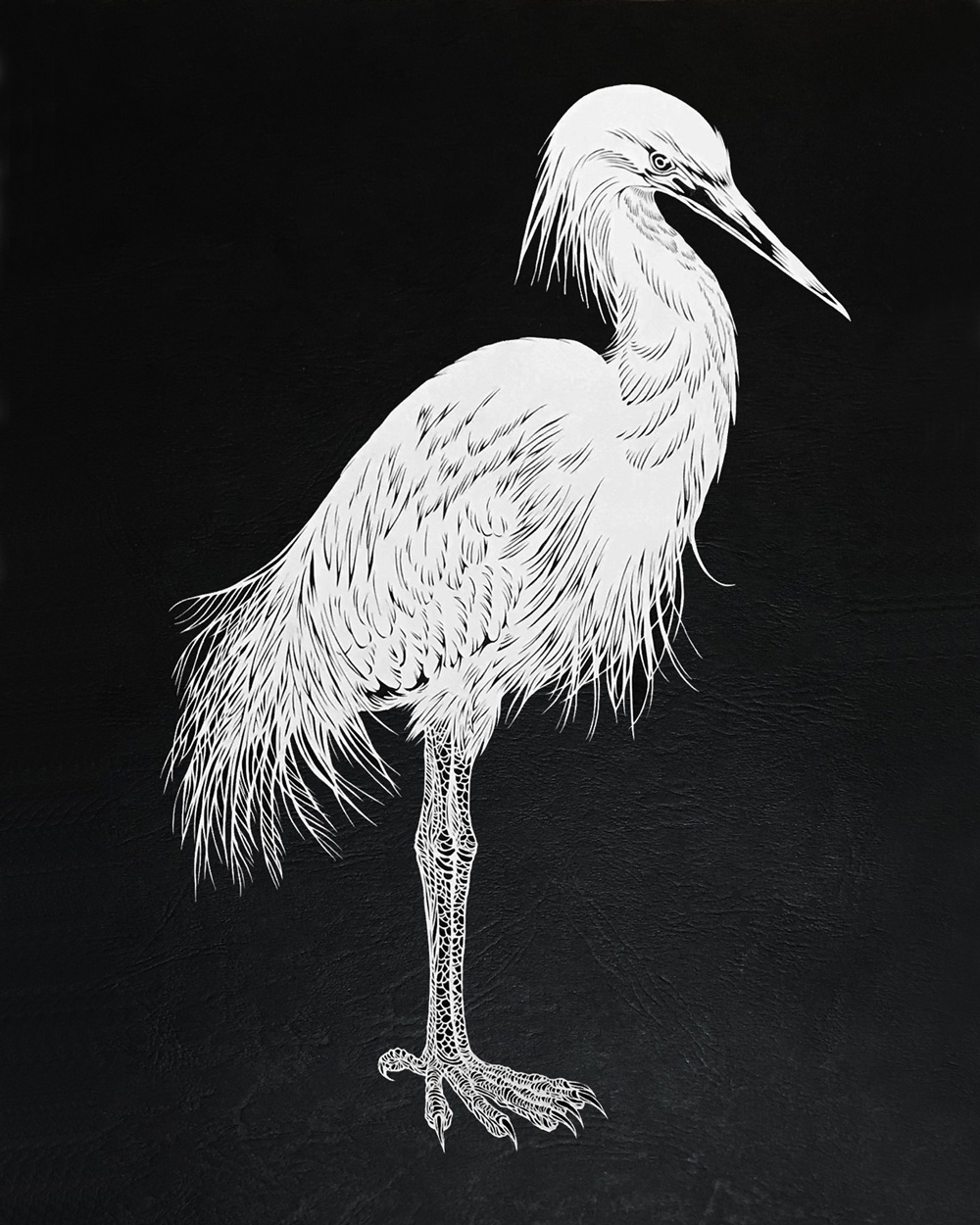 masayo fukuda picame heron