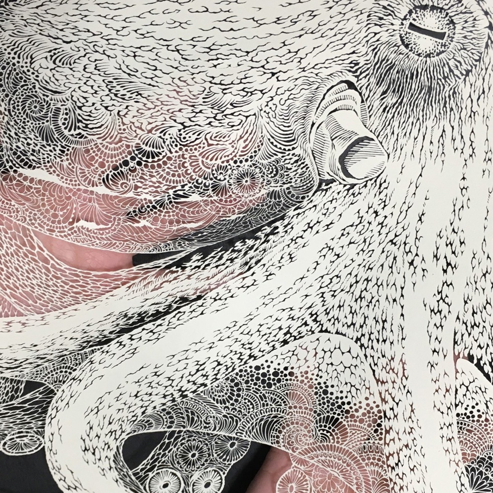 masayo fukuda picame octopus