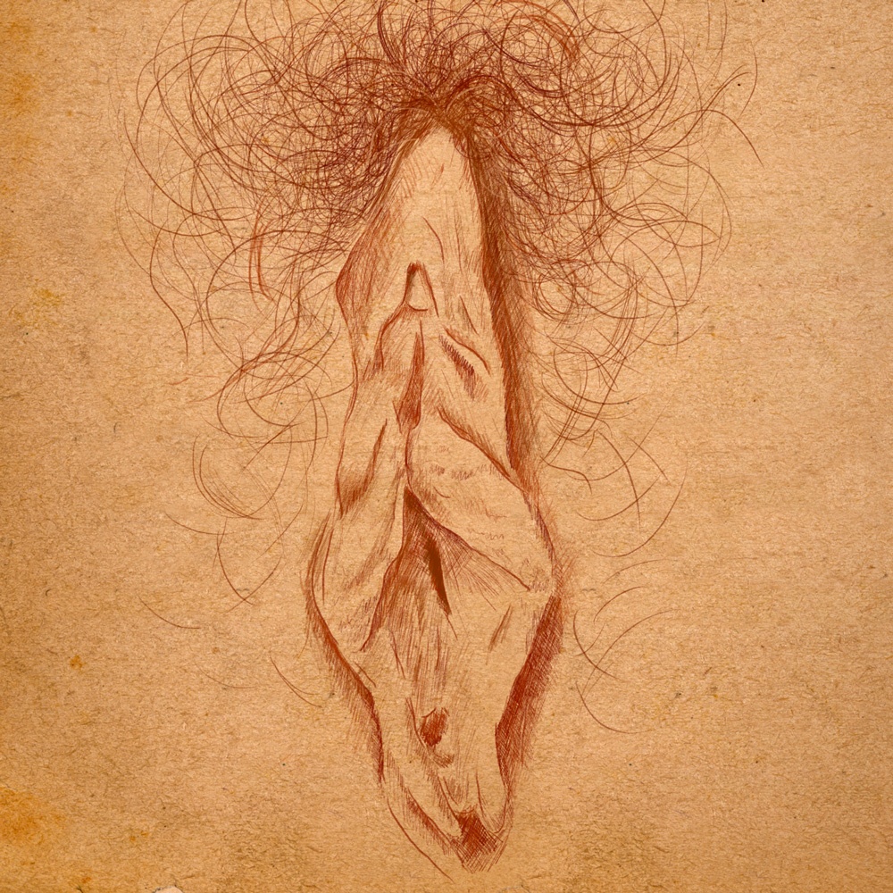 Abstract vulva art